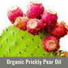 Prickly Pear Oil (Opuntia Ficus Indica Seed Oil)