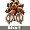 Babassu Oil (Orbignya Oleifera Seed Oil)