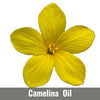 Camelina Oil (Camelina Sativa Seed Oil)