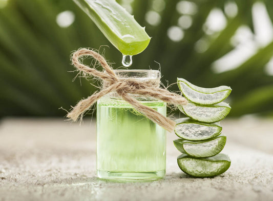 Pure Aloe Vera Infused Oil: A Natural Wonder for Healthy Skin and Hair