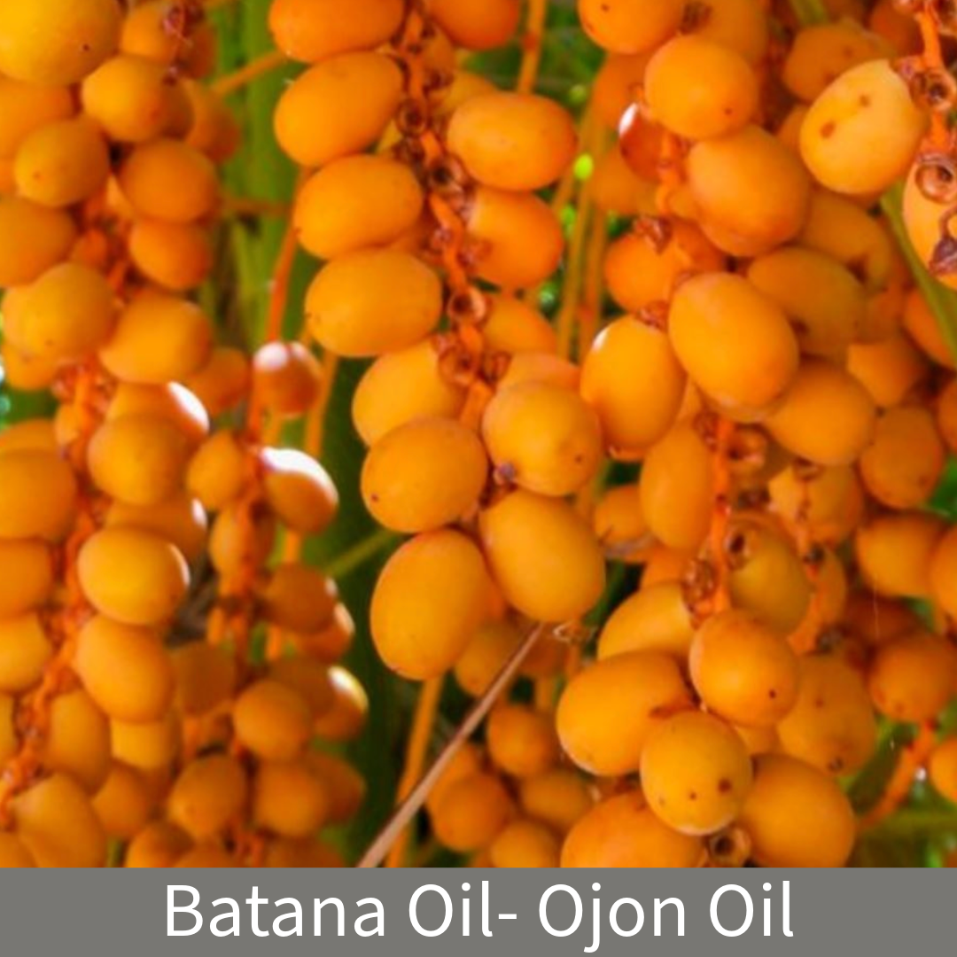 Batana Oil- Caiaue (Elaeis Oleifera) OJON Oil