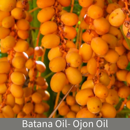 Batana Oil- Caiaue (Elaeis Oleifera) OJON Oil