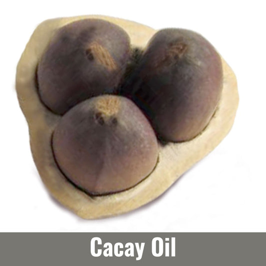 Cacay Oil (Caryodendron Orinocense Seed Oil)