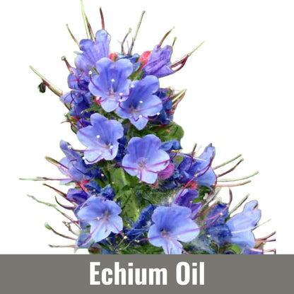 Echium Oil (Echium Plantagineum Seed Oil)