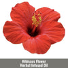 Hibiscus Flower Herbal Infused Oil (Hibiscus Rosa-Sinensis Oil)