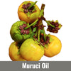 Muruci Oil (Byrsonima Crassifolia Fruit Oil)