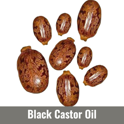 Black Castor Oil (Ricinus communis Seed Oil)