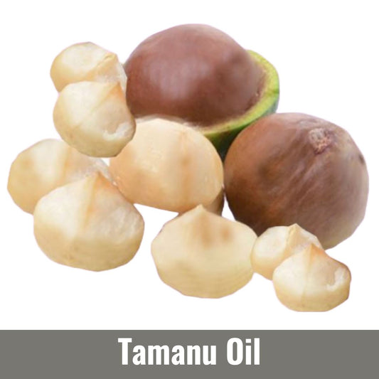 Tamanu Oil (Calophyllum Inophyllum Oil)